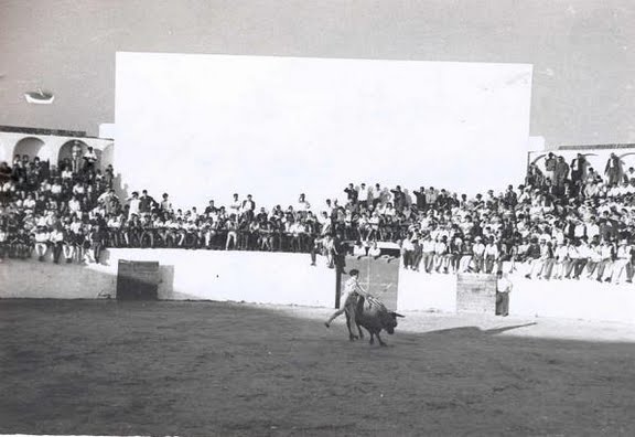 toros.Pantalla de cine