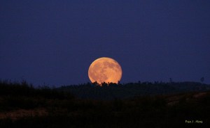 Luna llena dehesa de los Machos