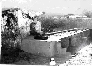 1233566_364959656970232_533276110_n