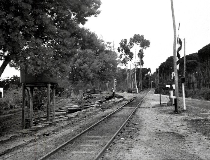 Paso a Nivel de El Cuervo