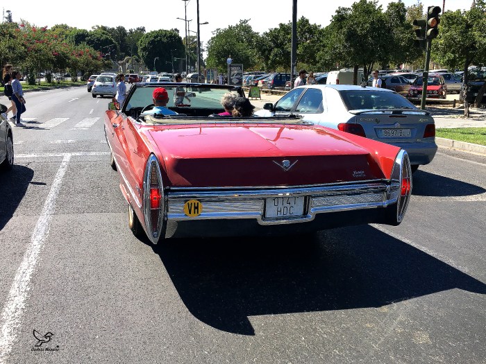 Un Haiga en Sevilla.